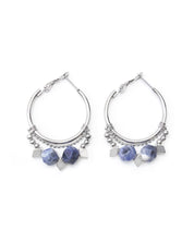 Zenith Boucles d'oreilles Argent