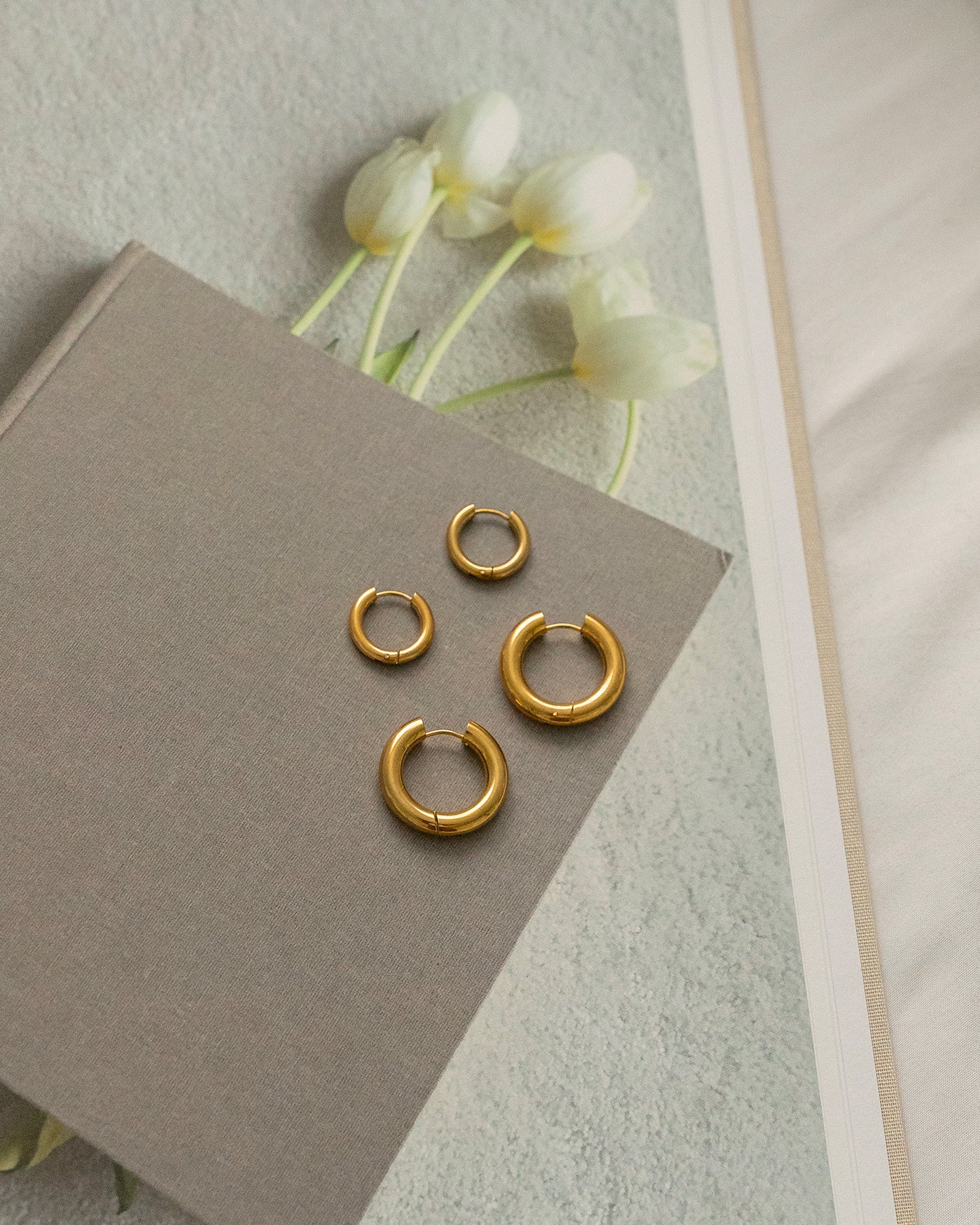 Hugo Gold Hoop Earrings
