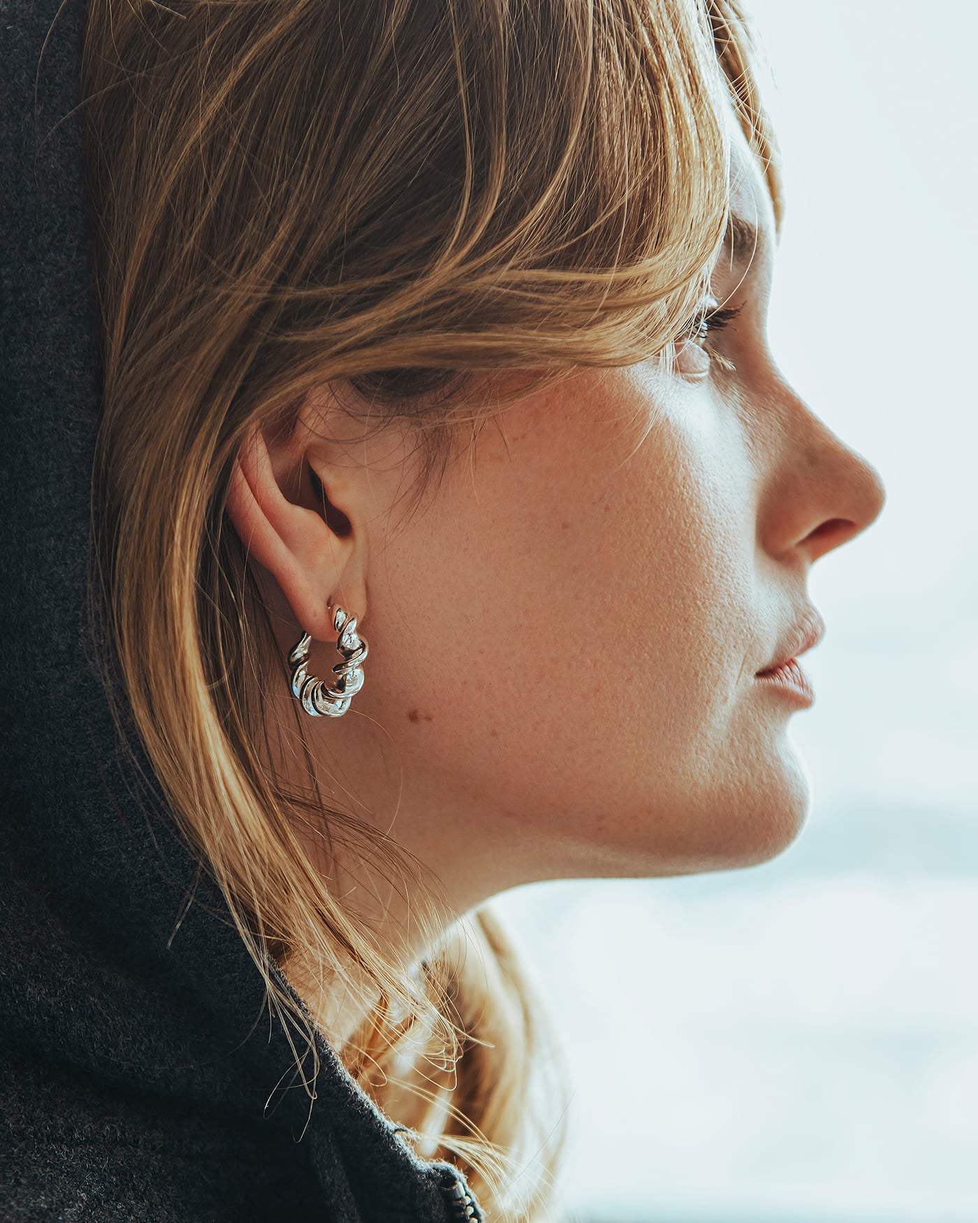 Boa boucles d'oreilles argent